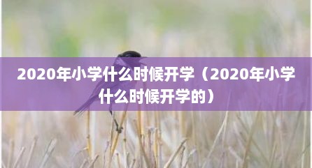 2020年小学什么时候开学（2020年小学什么时候开学的）