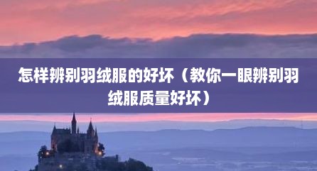 怎样辨别羽绒服的好坏（教你一眼辨别羽绒服质量好坏）