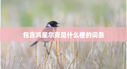 包含鸿星尔克是什么梗的词条