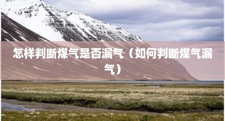 怎样判断煤气是否漏气（如何判断煤气漏气）