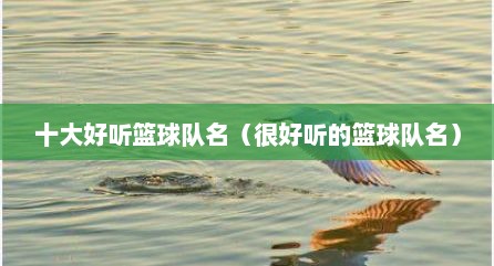 十大好听篮球队名（很好听的篮球队名）