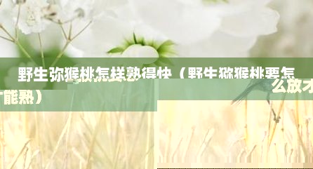 野生弥猴桃怎样熟得快（野生猕猴桃要怎么放才能熟）