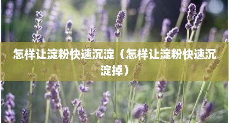 怎样让淀粉快速沉淀（怎样让淀粉快速沉淀掉）
