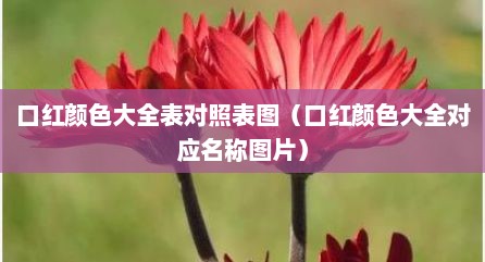 口红颜色大全表对照表图（口红颜色大全对应名称图片）
