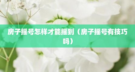 房子摇号怎样才能摇到（房子摇号有技巧吗）