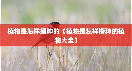 植物是怎样播种的（植物是怎样播种的植物大全）