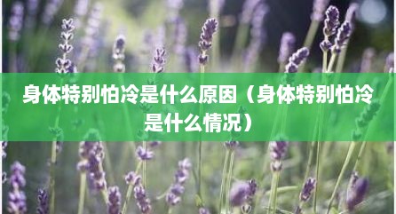 身体特别怕冷是什么原因（身体特别怕冷是什么情况）