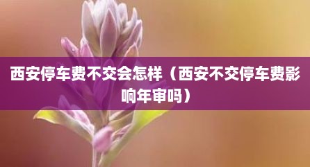 西安停车费不交会怎样（西安不交停车费影响年审吗）