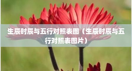 生辰时辰与五行对照表图（生辰时辰与五行对照表图片）