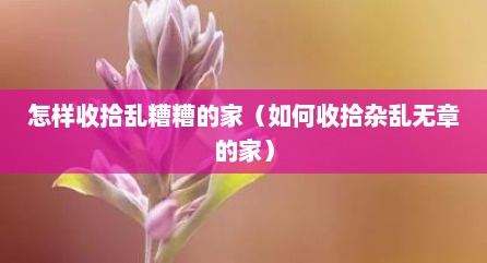 怎样收拾乱糟糟的家（如何收拾杂乱无章的家）