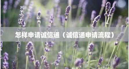 怎样申请诚信通（诚信通申请流程）