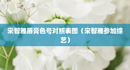 宋智雅唇膏色号对照表图（宋智雅参加综艺）