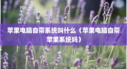 苹果电脑自带系统叫什么（苹果电脑自带苹果系统吗）