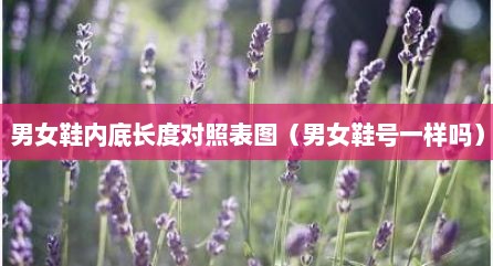男女鞋内底长度对照表图（男女鞋号一样吗）