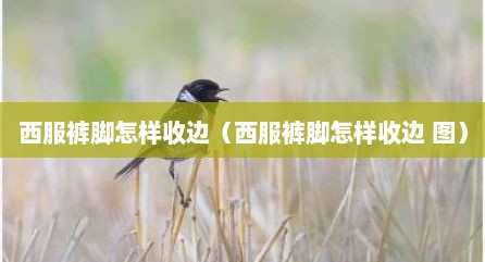 西服裤脚怎样收边（西服裤脚怎样收边 图）