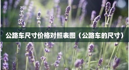公路车尺寸价格对照表图（公路车的尺寸）