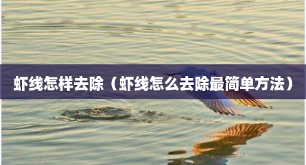 虾线怎样去除（虾线怎么去除最简单方法）