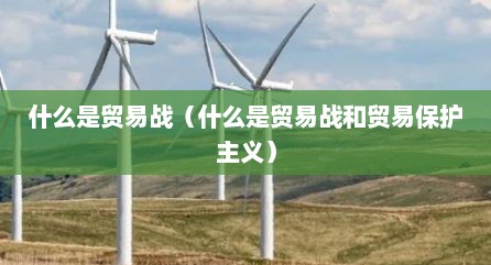 什么是贸易战（什么是贸易战和贸易保护主义）
