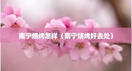 南宁烧烤怎样（南宁烧烤好去处）