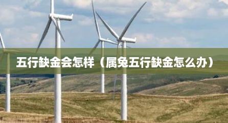 五行缺金会怎样（属兔五行缺金怎么办）
