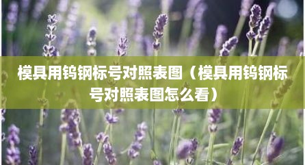 模具用钨钢标号对照表图（模具用钨钢标号对照表图怎么看）