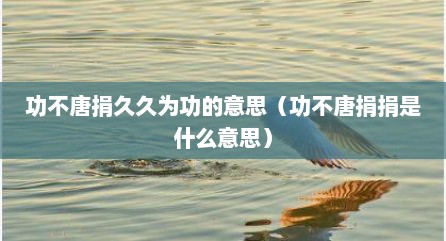 功不唐捐久久为功的意思（功不唐捐捐是什么意思）