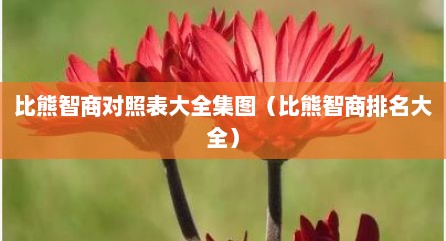 比熊智商对照表大全集图（比熊智商排名大全）