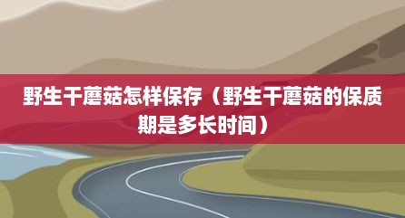 野生干蘑菇怎样保存（野生干蘑菇的保质期是多长时间）