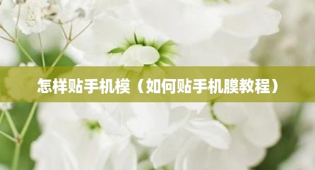 怎样贴手机模（如何贴手机膜教程）