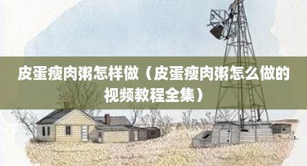 皮蛋瘦肉粥怎样做（皮蛋瘦肉粥怎么做的视频教程全集）