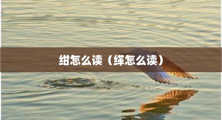 绀怎么读（缂怎么读）