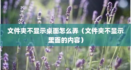 文件夹不显示桌面怎么弄（文件夹不显示里面的内容）
