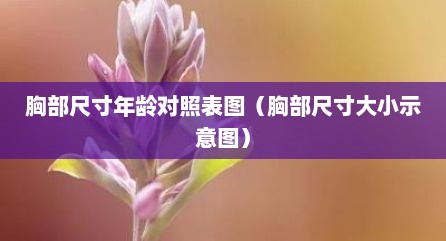 胸部尺寸年龄对照表图（胸部尺寸大小示意图）