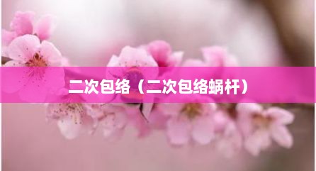 二次包络（二次包络蜗杆）