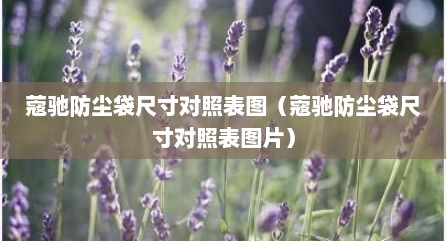 蔻驰防尘袋尺寸对照表图（蔻驰防尘袋尺寸对照表图片）