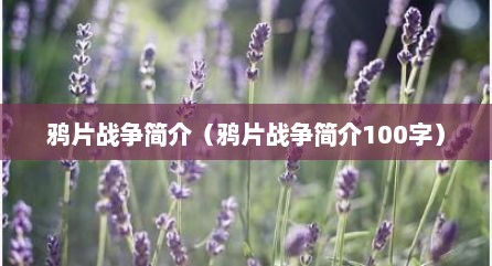 鸦片战争简介（鸦片战争简介100字）