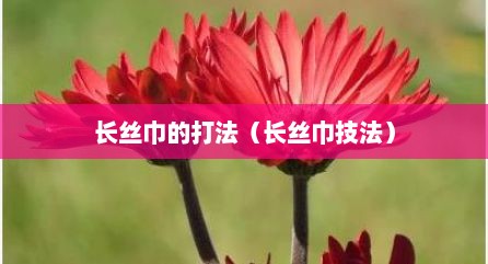 长丝巾的打法（长丝巾技法）