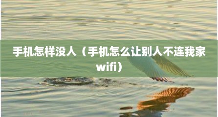 手机怎样没人（手机怎么让别人不连我家wifi）