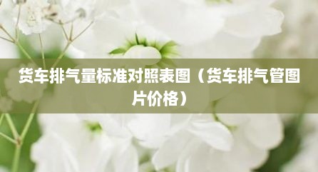 货车排气量标准对照表图（货车排气管图片价格）