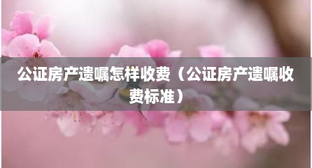 公证房产遗嘱怎样收费（公证房产遗嘱收费标准）