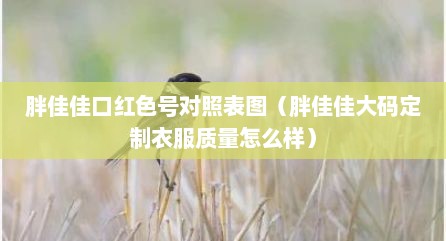 胖佳佳口红色号对照表图（胖佳佳大码定制衣服质量怎么样）