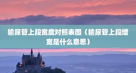 输尿管上段宽度对照表图（输尿管上段增宽是什么意思）