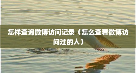 怎样查询微博访问记录（怎么查看微博访问过的人）