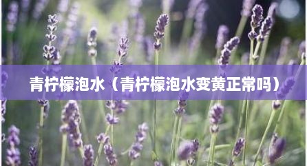 青柠檬泡水（青柠檬泡水变黄正常吗）