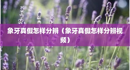 象牙真假怎样分辨（象牙真假怎样分辨视频）