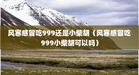 风寒感冒吃999还是小柴胡（风寒感冒吃999小柴胡可以吗）