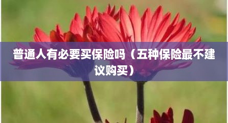 普通人有必要买保险吗（五种保险最不建议购买）