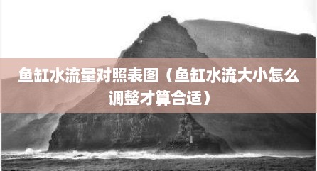 鱼缸水流量对照表图（鱼缸水流大小怎么调整才算合适）