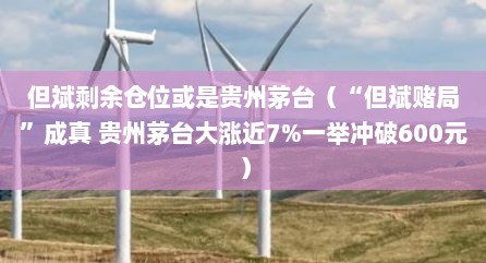 但斌剩余仓位或是贵州茅台（“但斌赌局”成真 贵州茅台大涨近7%一举冲破600元）