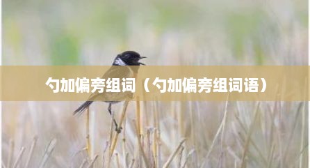 勺加偏旁组词（勺加偏旁组词语）